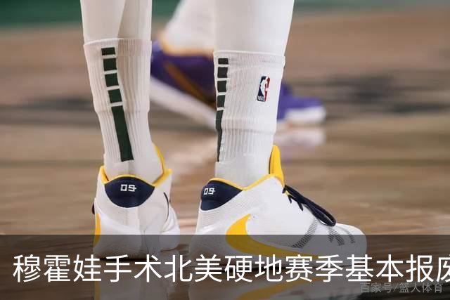 穆霍娃手术北美硬地赛季基本报废，西西帕斯时隔504天重返决赛